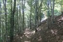 Du Markstein à Treh